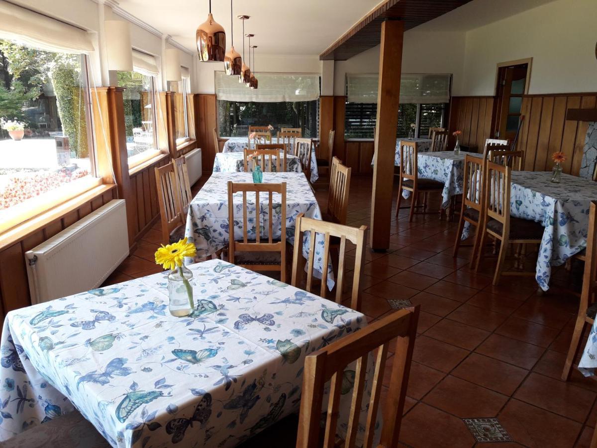 Hotel Y Cabanas El Parque Villarrica Exteriér fotografie